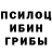 Псилоцибиновые грибы мухоморы Douglas Lunstra