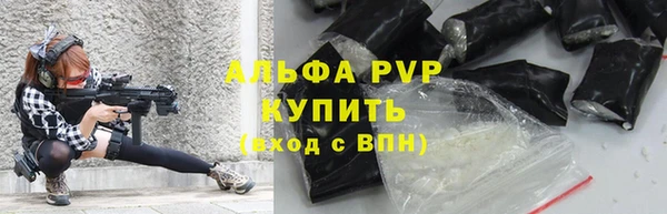 дмт Богородск