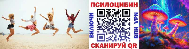 Галлюциногенные грибы Psilocybe Казань